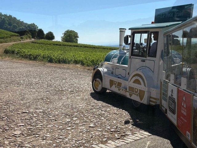 <!--StartFragment--><em>Toeristentrein Mâcon - Rots van Solutré<br>©Juliëtte Curveur, Mâcon Sud Bourgogne</em><!--EndFragment-->