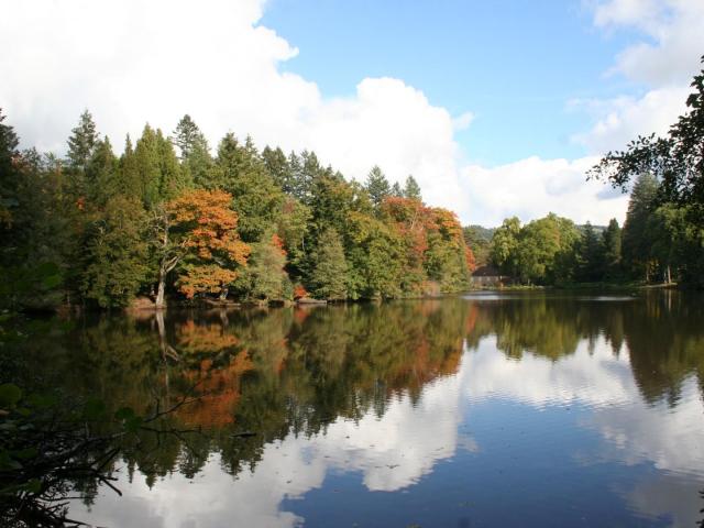 6. ﻿Arboretum van Pézanin