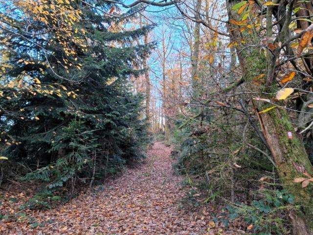 5. Tour du Ban Sacré