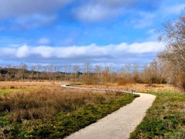 4. Moeras van Massilly