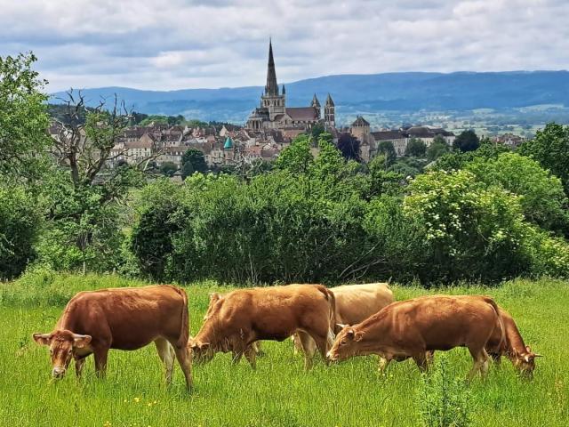 3. Vue d'Autun