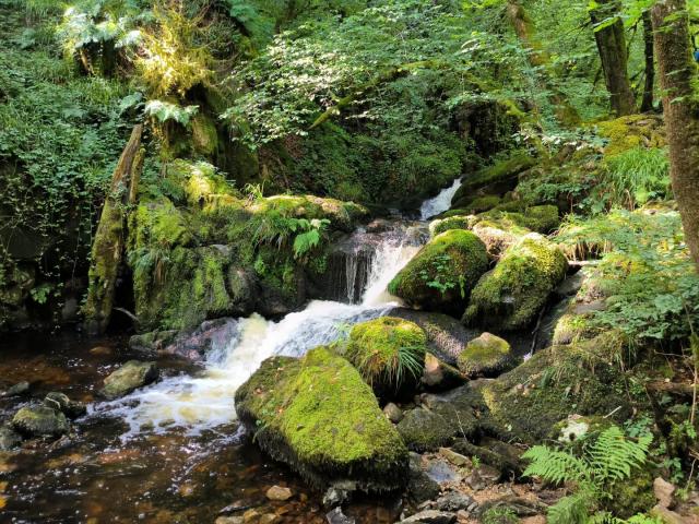 1. Gorges de la Canche