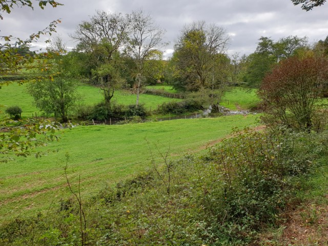 4. Randonnée de Beuvron