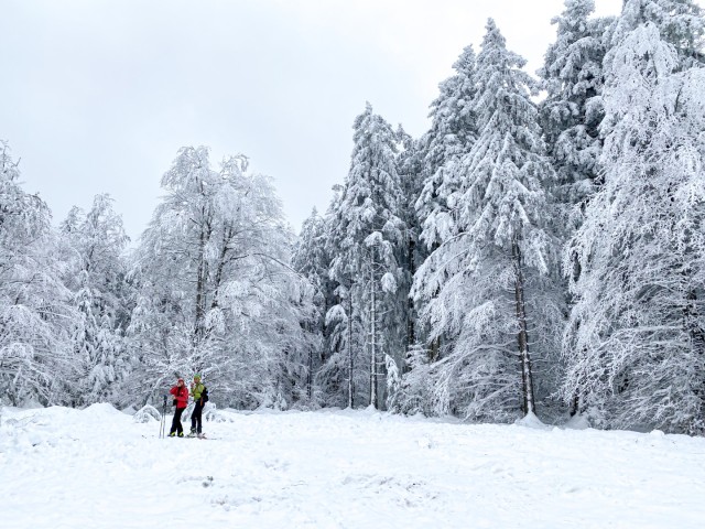 Langlaufen op de Haut-Folin ©Pierre Demaillet