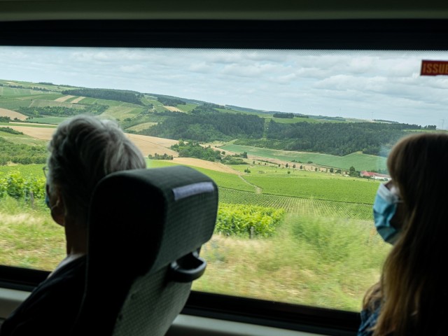 3. Tour met de wijnbus