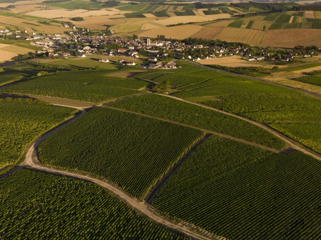 4. Saint-Bris-la-Vineuse