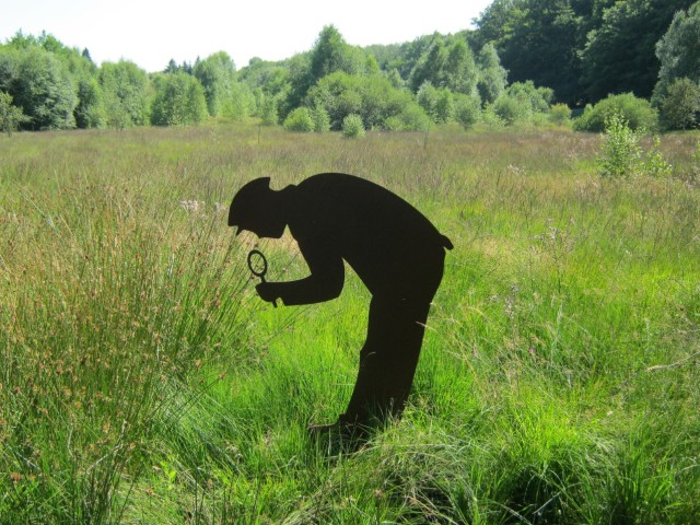 5. Source de l'Yonne