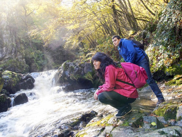 6. Vallée de la Cure