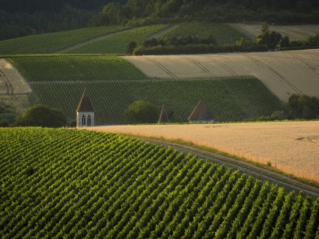 3. Wijnroute van de Auxerrois