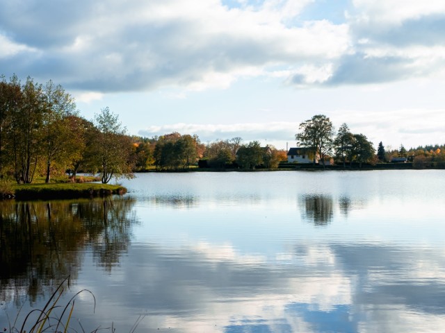 <p><em>Etang du Goulot, ©Kevin Lauret</em></p>