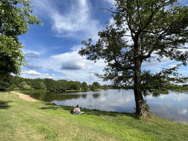 <!--StartFragment--><em>Etang du Goulot, ©www.BourgondieToerist.nl</em><!--EndFragment-->