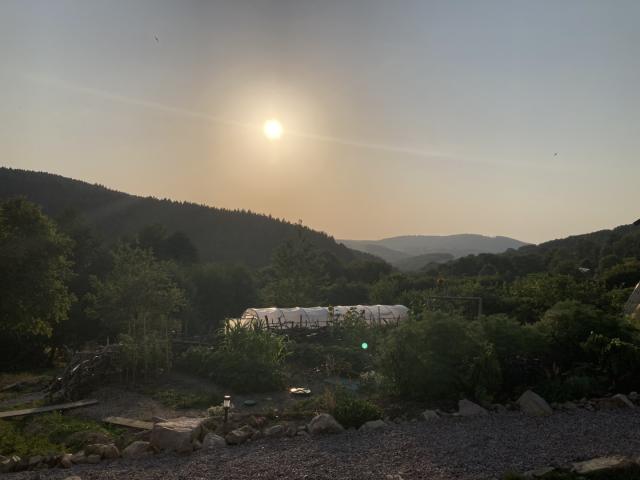 1. Petit Restaurant Myrtille