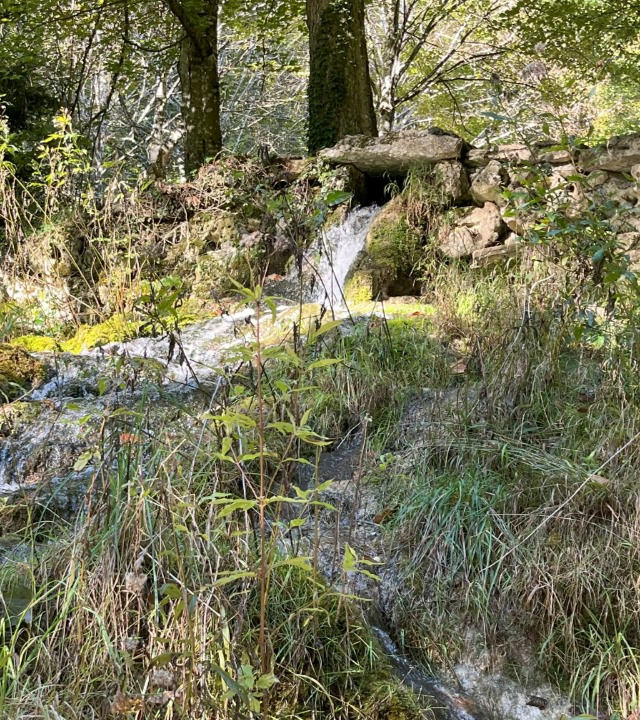 Bron de Jouvence