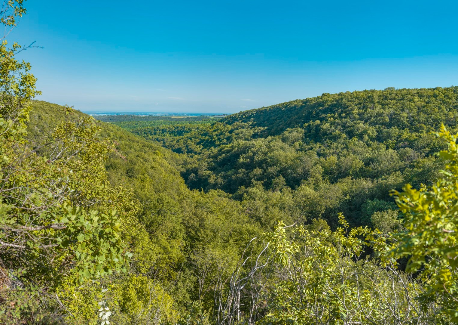 Belvédère en valleien Sainte-Foy