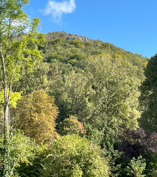 Belvédère en valleien Sainte-Foy