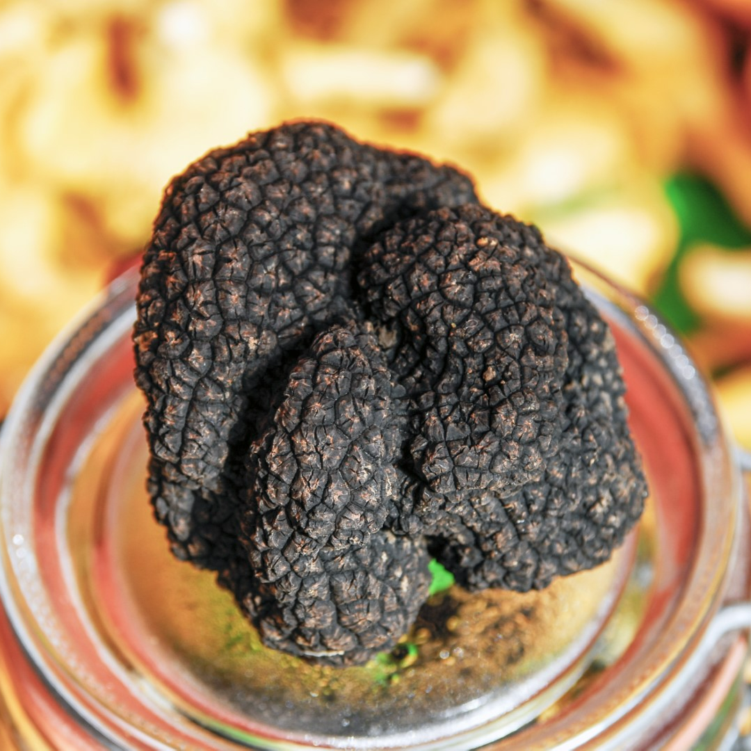 Truffelmarkt Sens