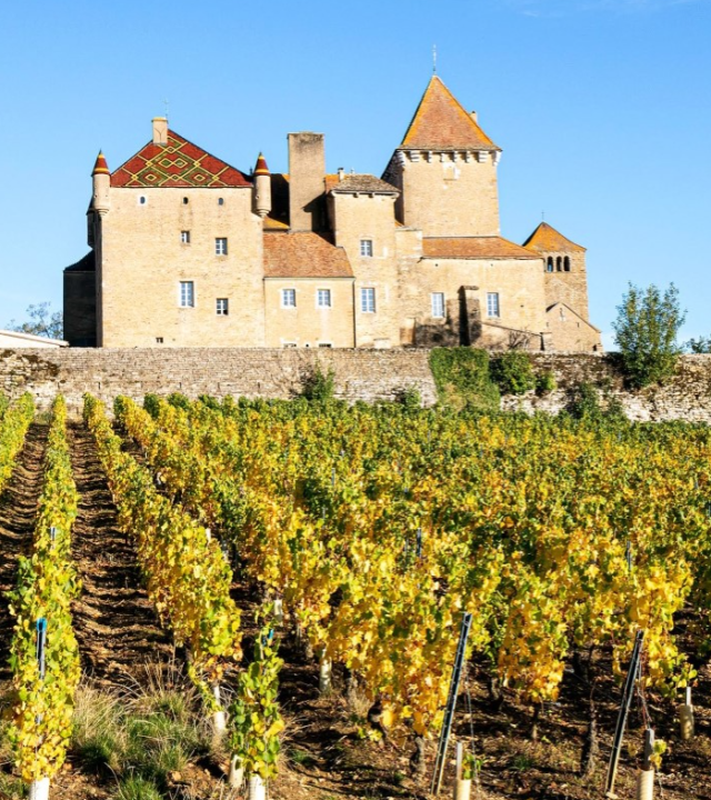 Kasteel van Pierreclos