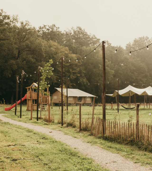 Festilux Camp
