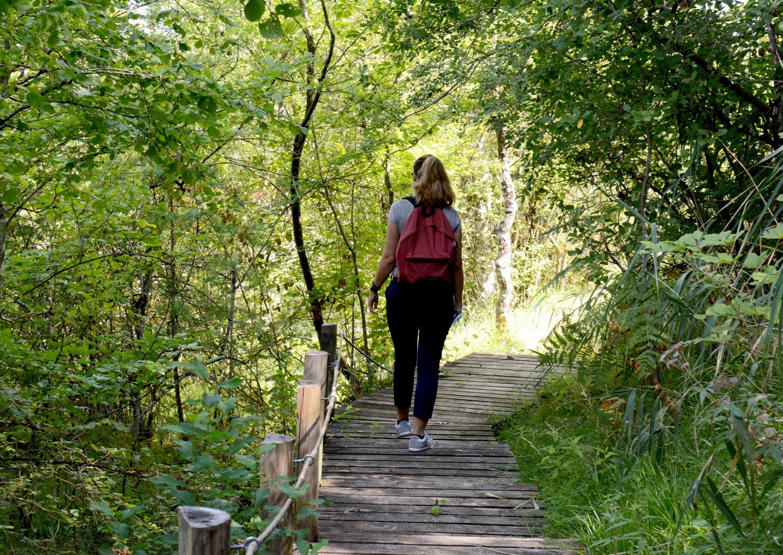 Wandelpad kalktufsteenmoeras van de Cônois