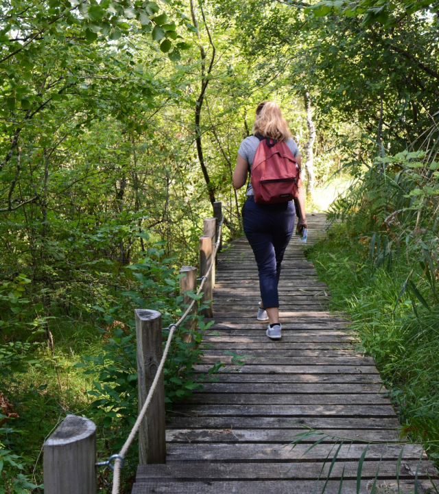 Wandelpad kalktufsteenmoeras van de Cônois