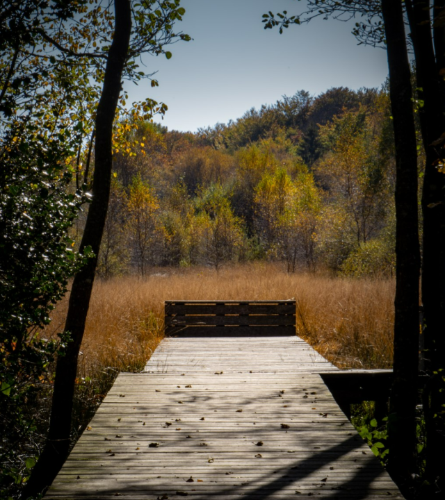 Naar de Bron van de Yonne