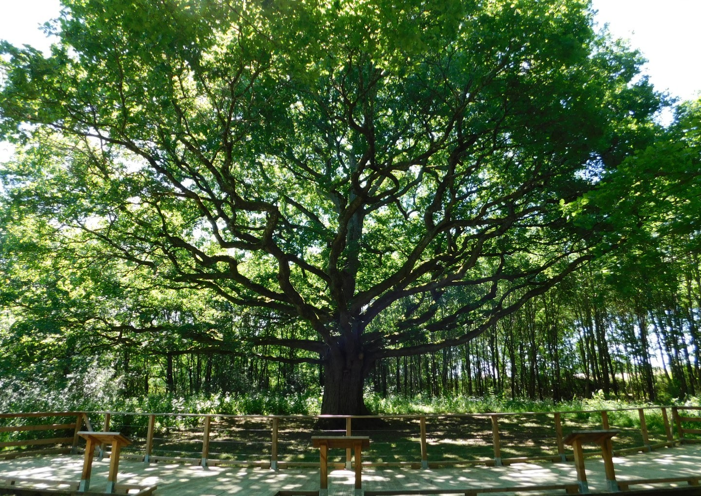 Wandelpaden Ark van biodiversiteit