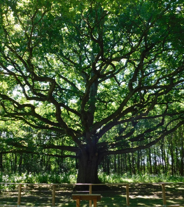 Wandelpaden Ark van biodiversiteit