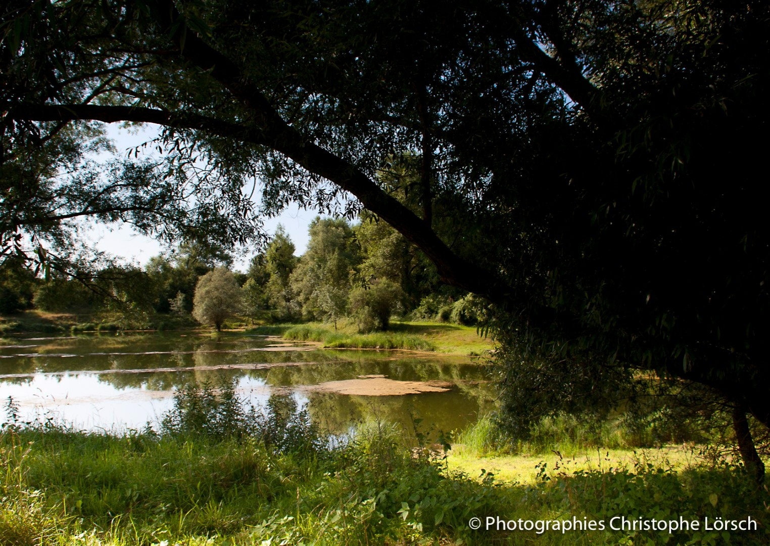 Wandelpaden van de Brocs