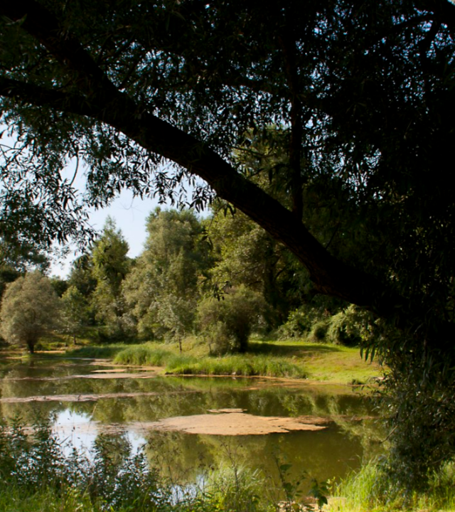 Wandelpaden van de Brocs