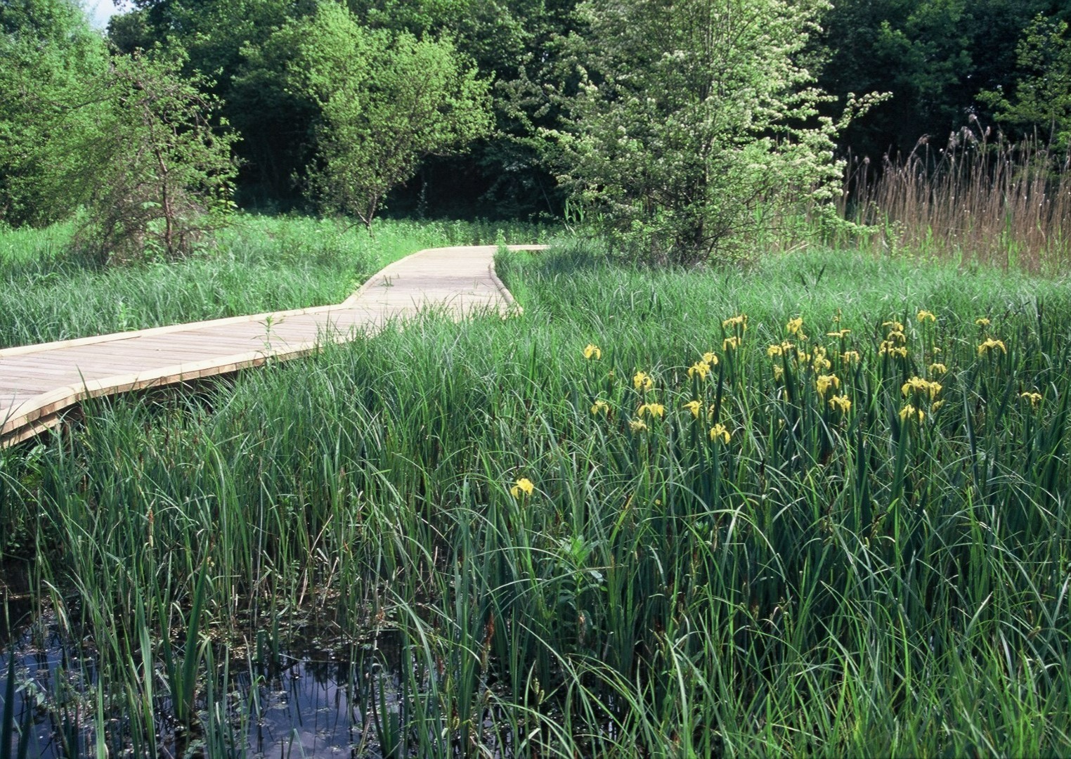 Wandelpaden Domein van de Beue