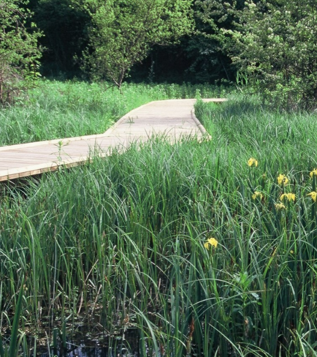 Wandelpaden Domein van de Beue