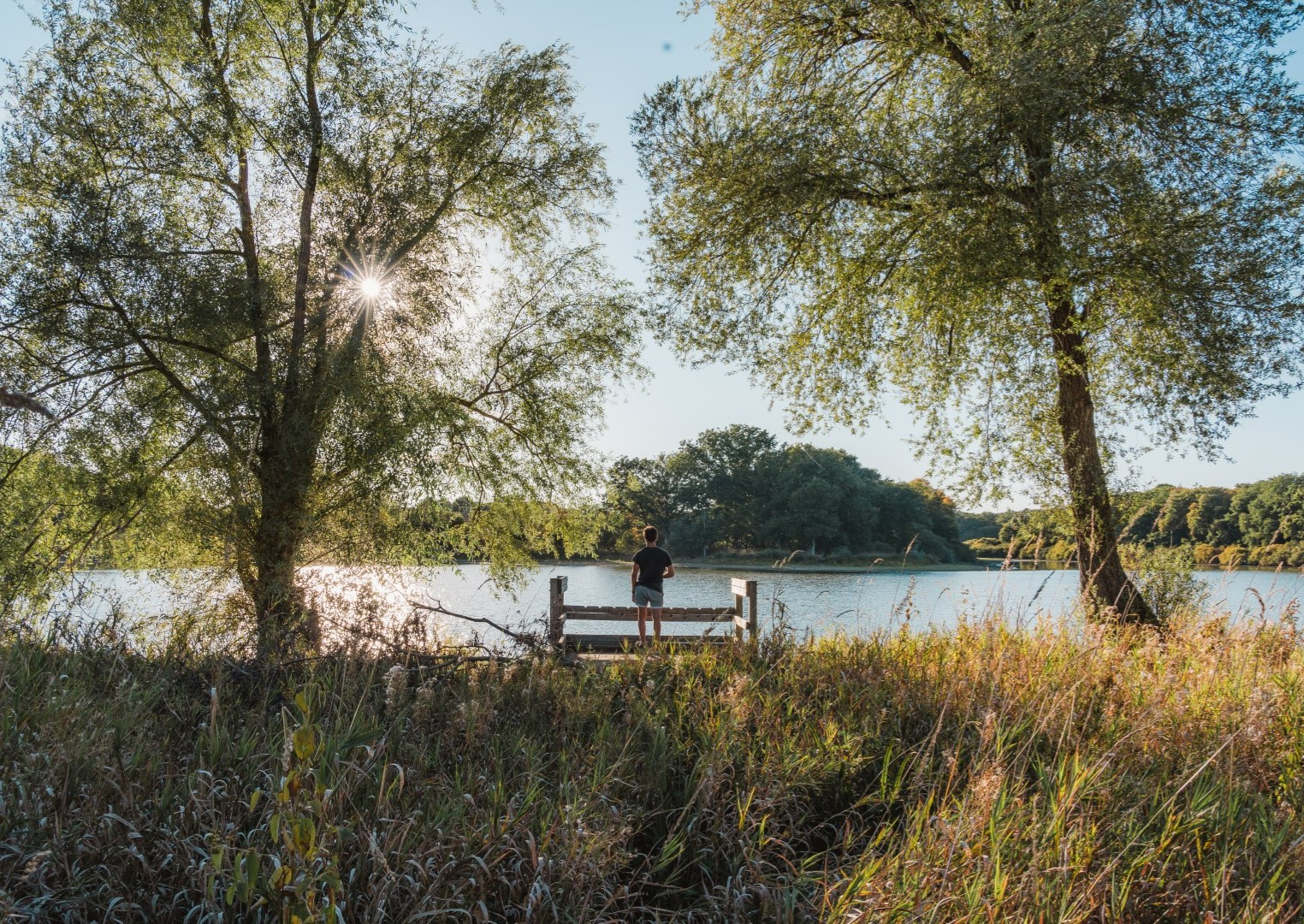 Wandelpaden meren van Baye en Vaux