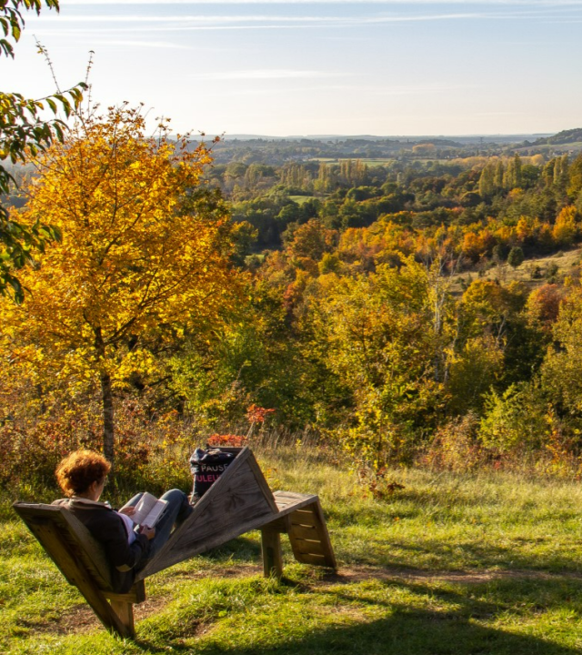 Wandelpad van de kleine Cicade