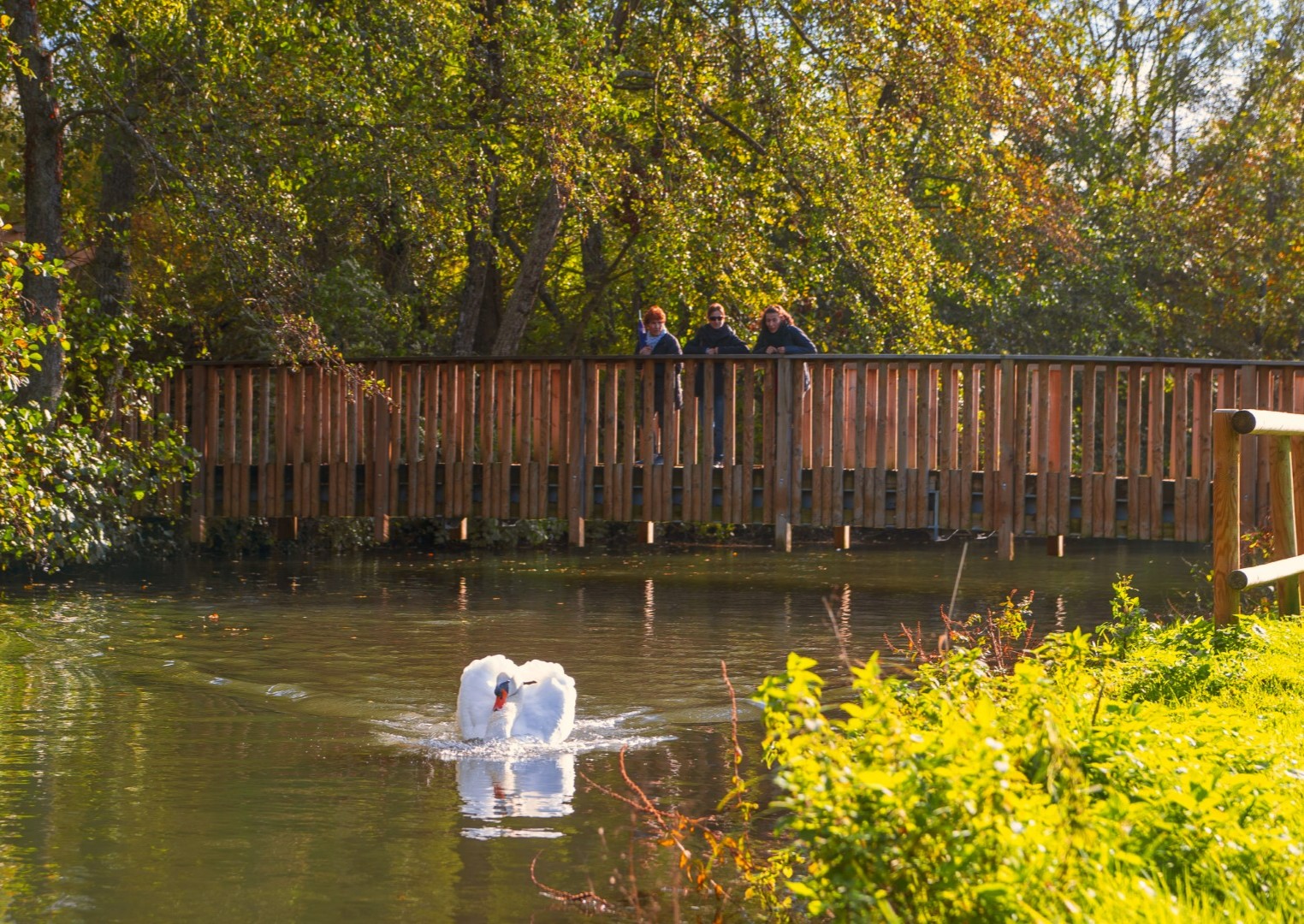 Wandelpad Weilanden van Coulanges