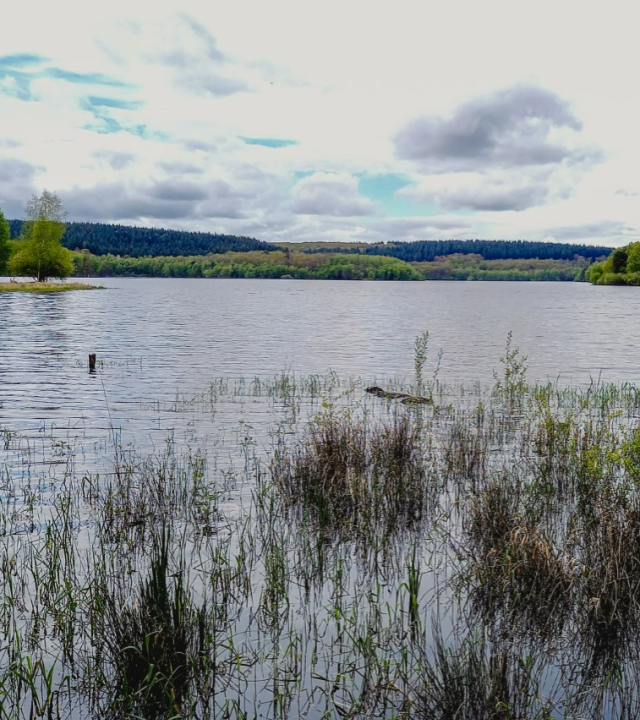 Wandelpaden weilanden Saint-Agnan
