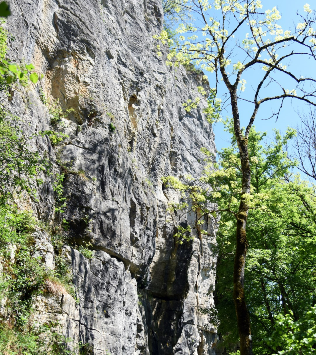 Naar de top van de Rotsen van Saffres
