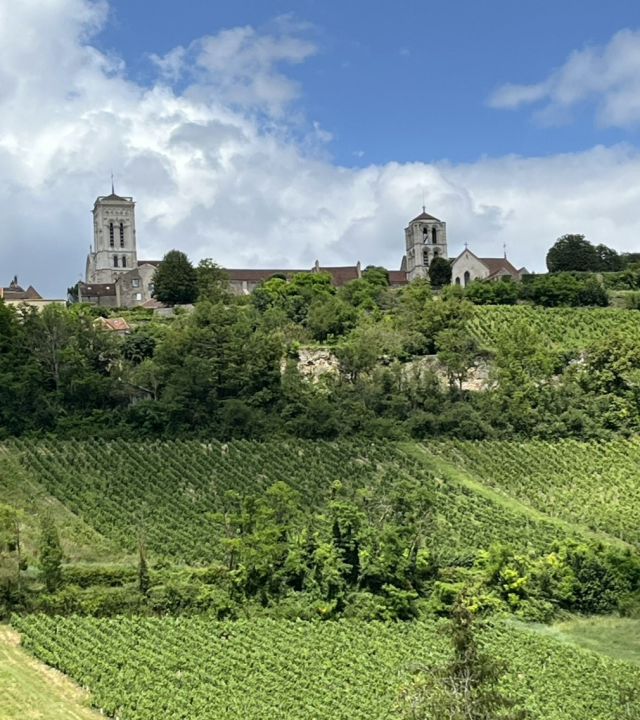 Wijngaarden rond Vézelay