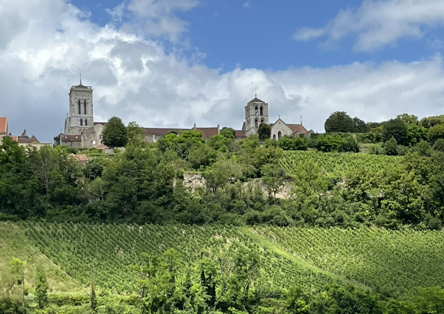 Wijngaarden rond Vézelay