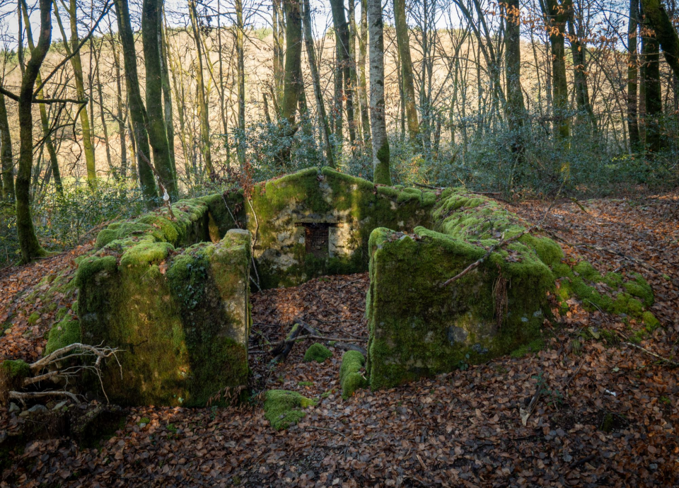 Vertelwandeling Gevangenenkamp van Blandins