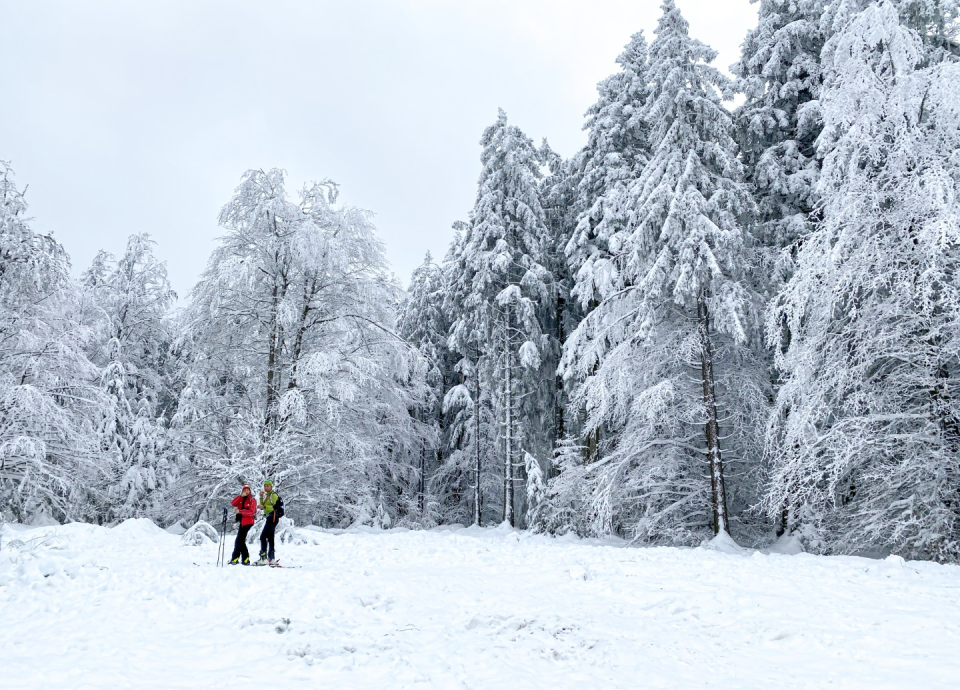 Vertelwandeling Skipiste op de Haut-Folin