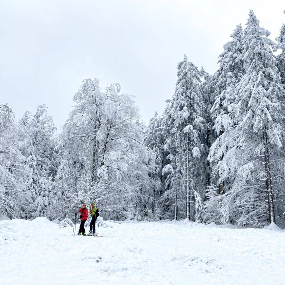 Vertelwandeling Skipiste op de Haut-Folin