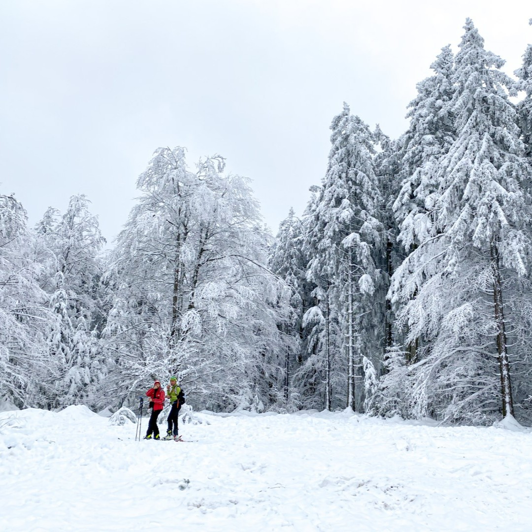 Vertelwandeling Skipiste op de Haut-Folin