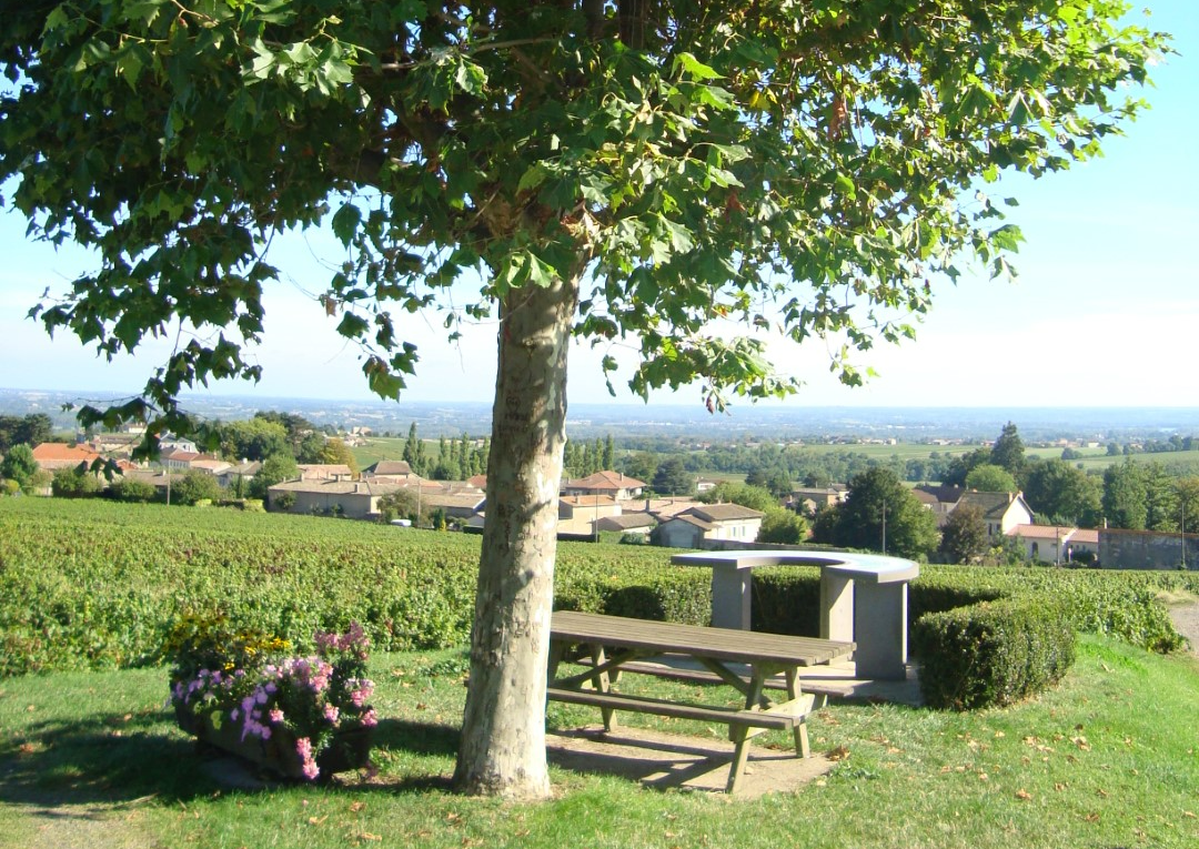 Uitzichten Saint-Amour en Saint-Vérand
