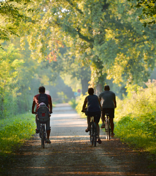Toeren op de fiets