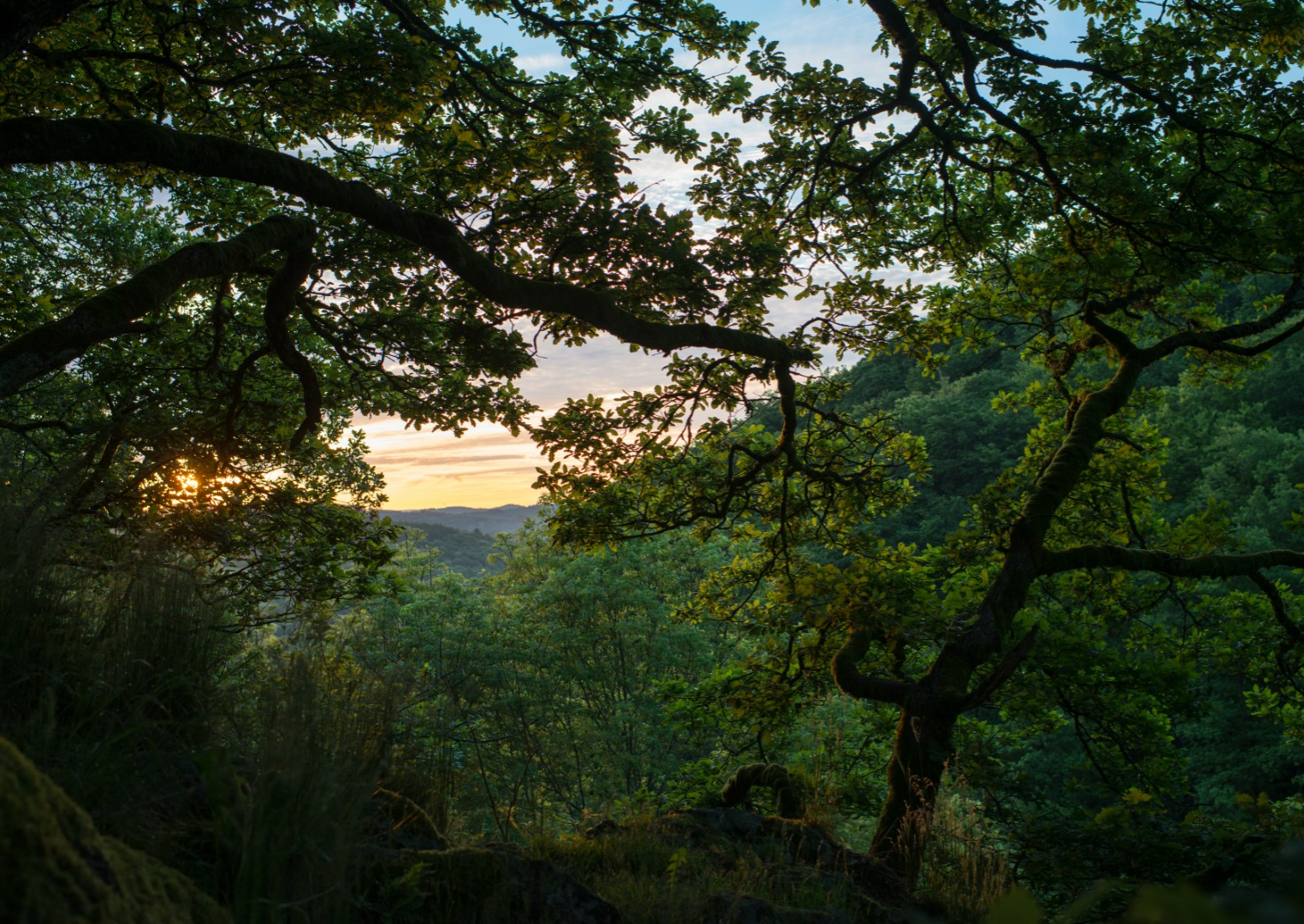 Kloof van de Canche - Bourgondië Toerist