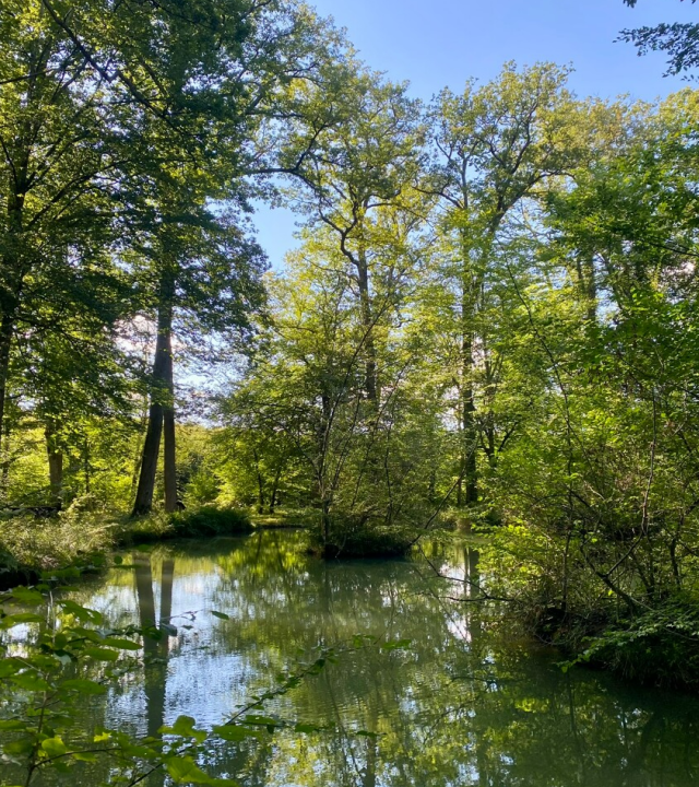 Bronnen in Bertranges