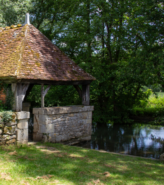 Moeras Dompièrre-sur-Nièvre
