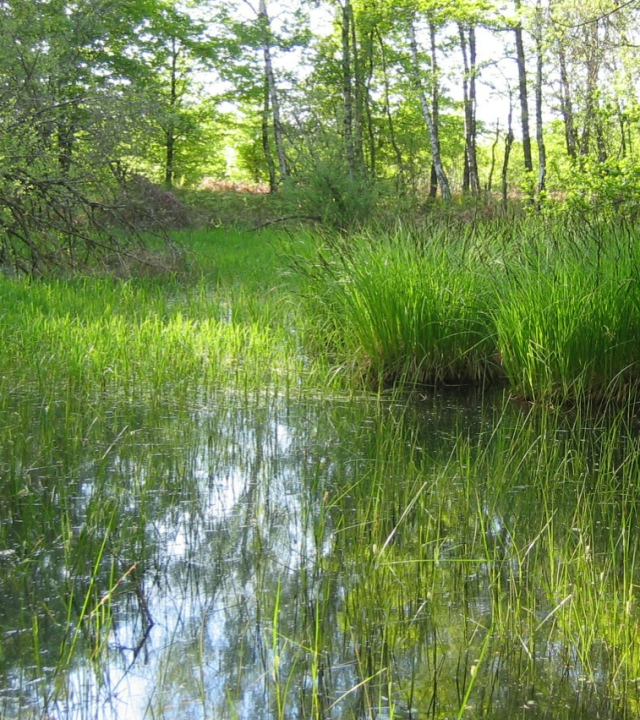 Mardelles van Prémery