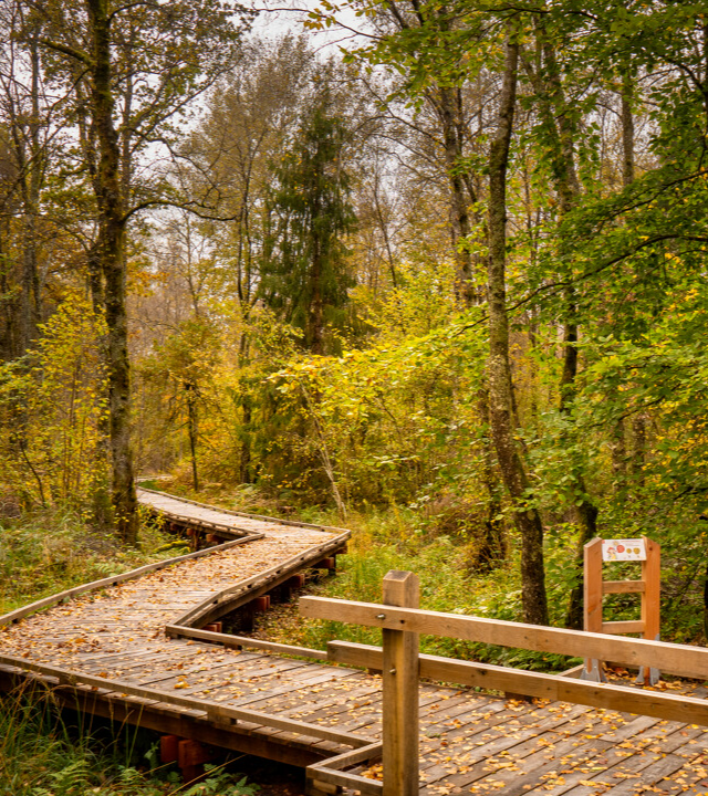 Veenmoerassen van de Morvan