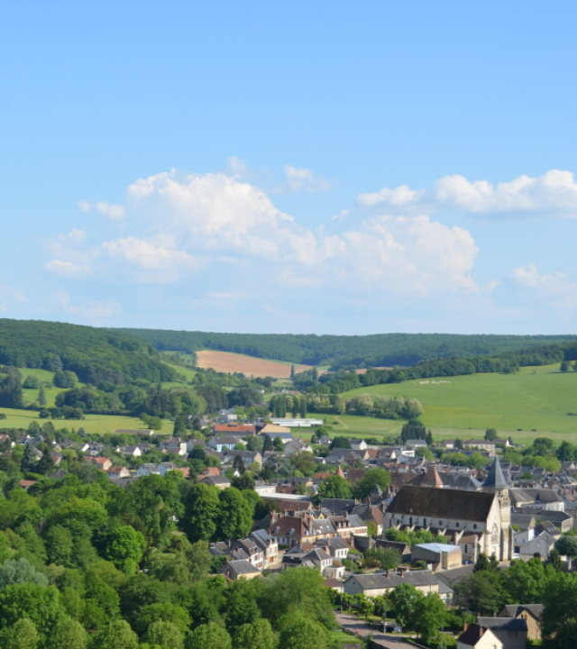 Bos van Prémery en de Mardelles